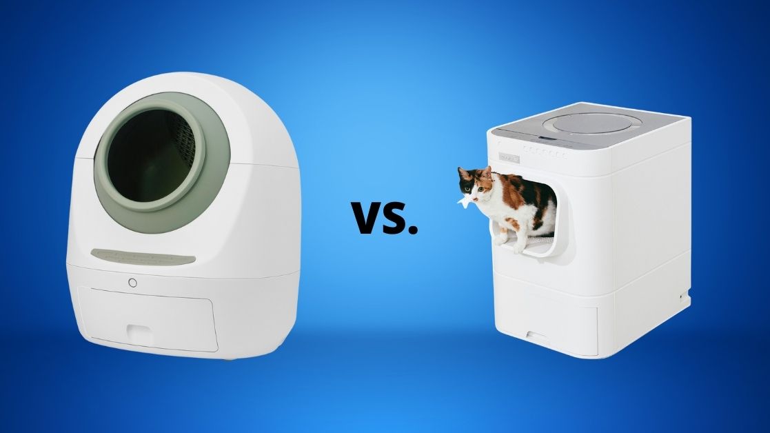 Leo’s Loo Too VS Lavviebot S featured image