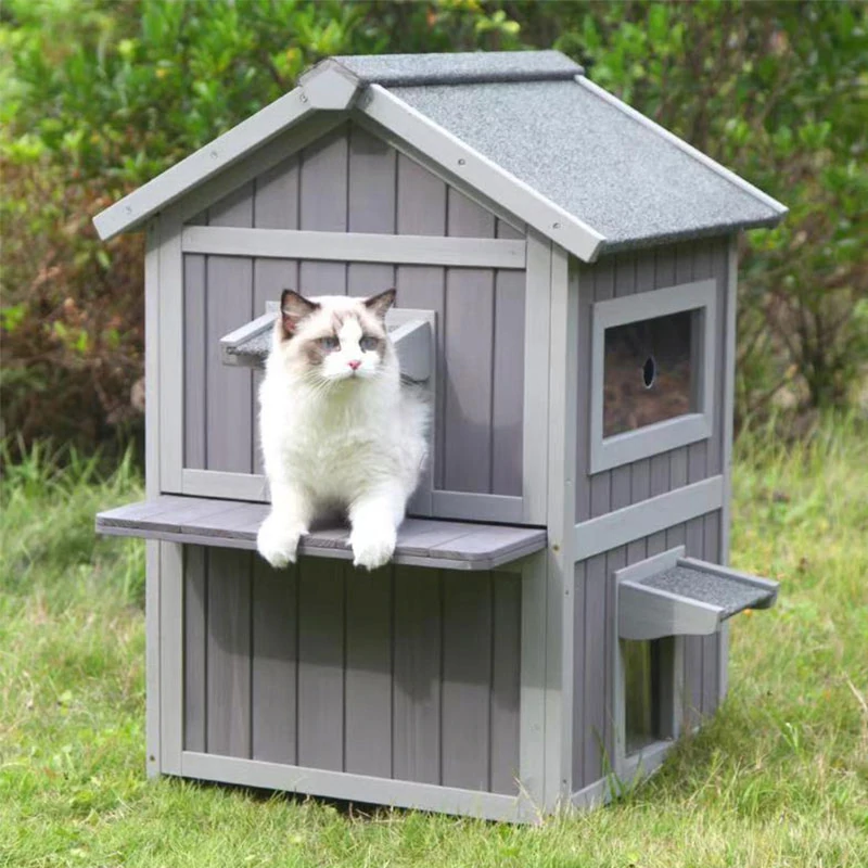 Can is on the second tier of Aivituvin-AIR41 cat playpen