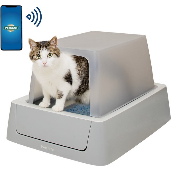 Cat is using Petsafe ScoopFree litter box with WiFi connection