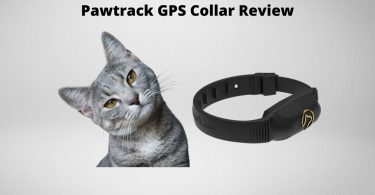 Pawtrack GPS Collar review featured image