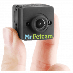 Mr. Petcan cat and dog collar camera