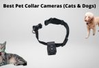 Best cat collar cameras featured image
