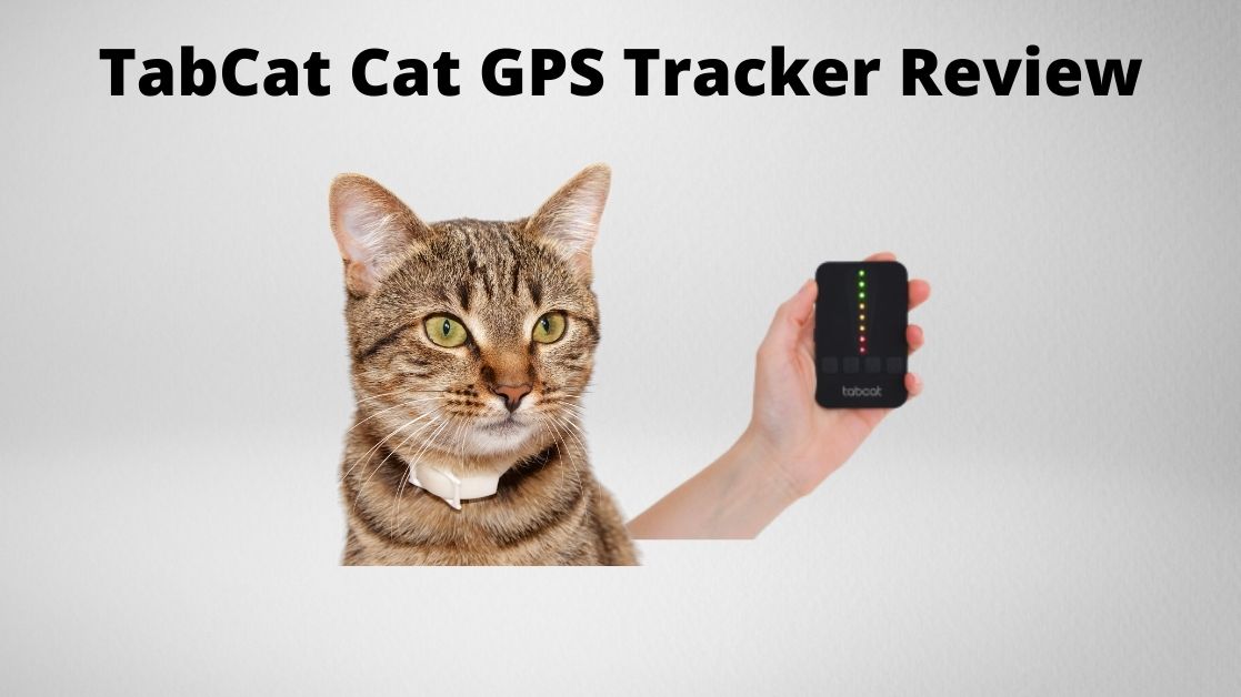 Tabcat cat GPS tracker review featured image