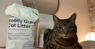 My cat posing near Really Great Cat Litter from Tuft + Paw