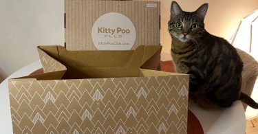 My cat is posing right by Kitty Poo Club litter box