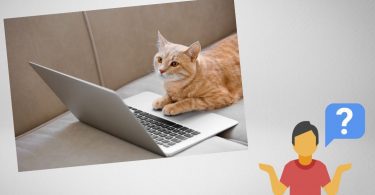 A person is confused why his cat in sitting on the laptop