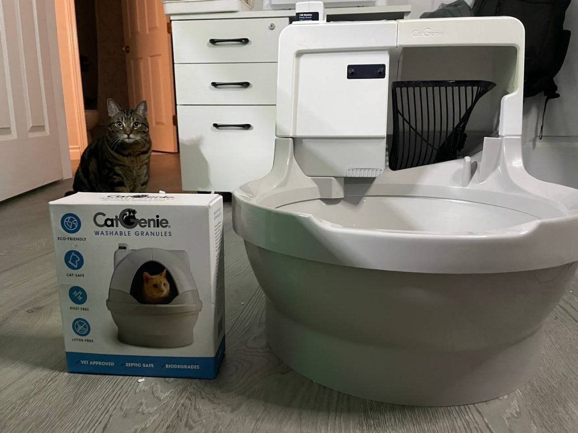 My cat near Cat Genie AI self-flushing litter box