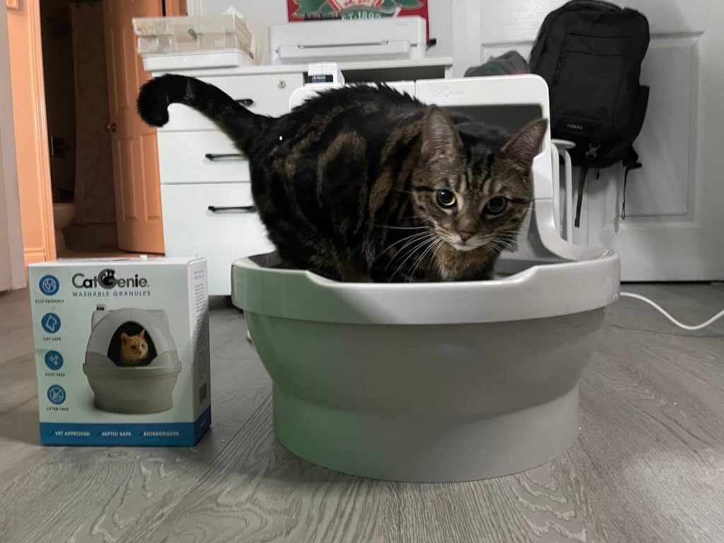 My cat is trying CatGenie A.I. self cleaaning litter box