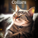 5 Best Cat Calming Collars