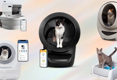 Best self cleaning litter boxes in 2023