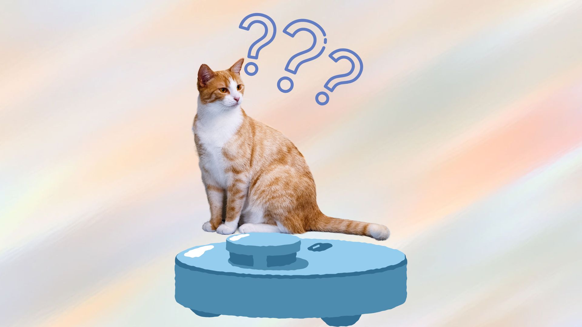 Cat is confused while sitting on robot vacuum