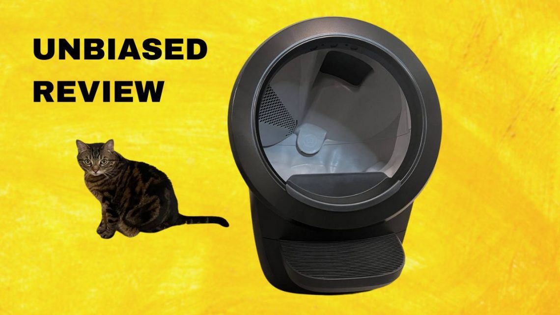 Litter Robot 4 review featured image with litter box and my cat in it