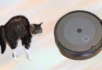cat is scared of roomba robot vacuum