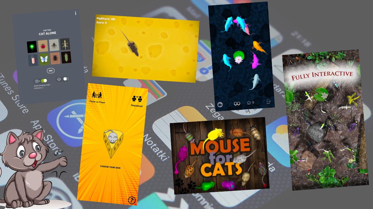 Cat Games  5 jogos para o seu gato no celular ou no iPad - Canaltech