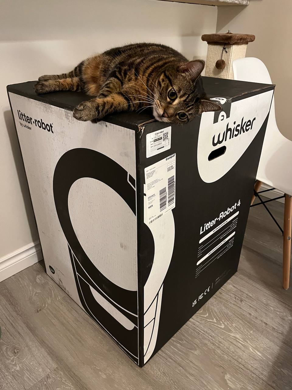 Box with Litter Robot 4 delivered