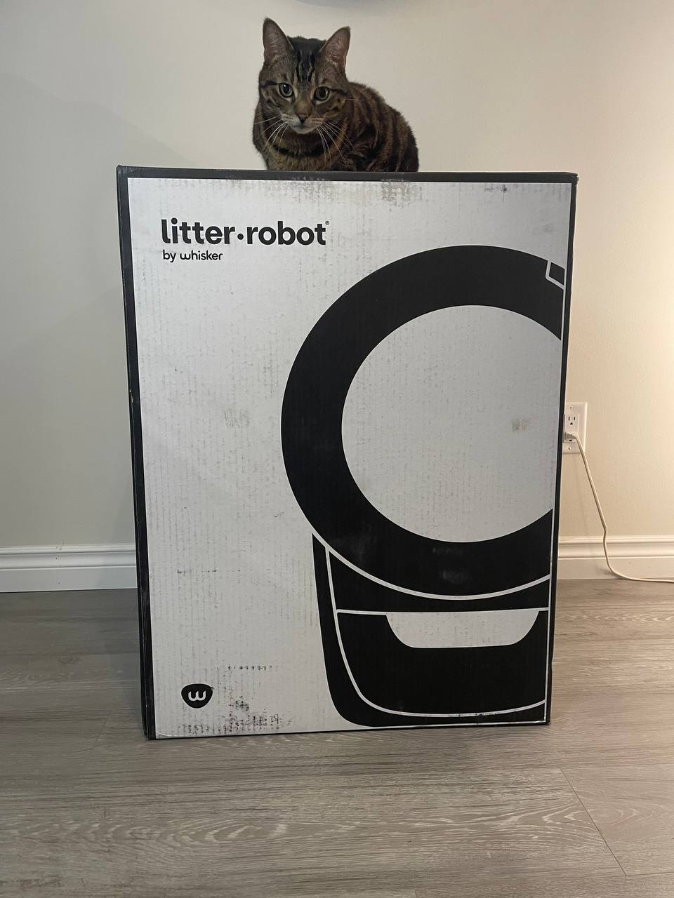 My cat on top of the Litter Robot 4 box