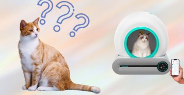 Famree Smart Self-Cleaning Cat Litter Box Review featured image
