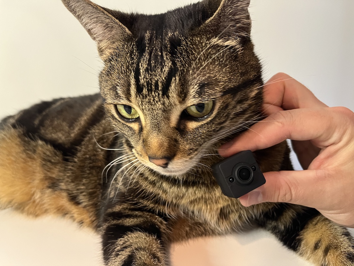 Trying mr. pet cam cat collar camera on my cat