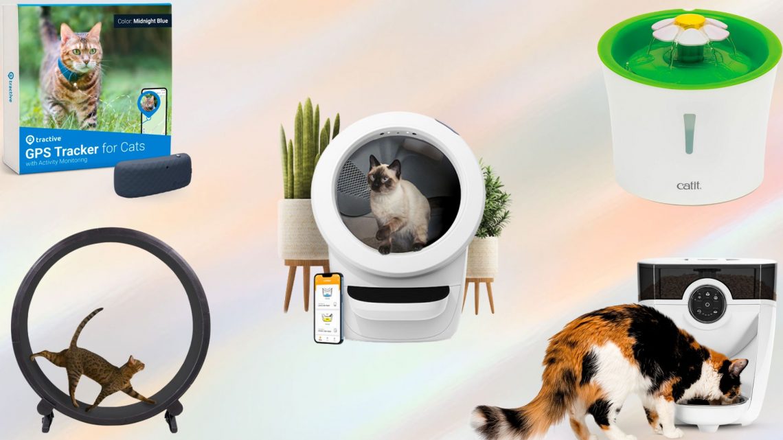 best cat gadgets for cats