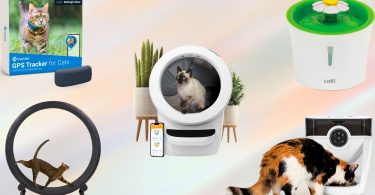 Top 5 Best Cat Collar Cameras in 2023 | TechnoMEOW