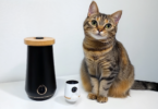 Best Cat Camera with Cat