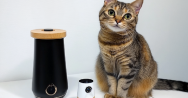 Best Cat Camera with Cat