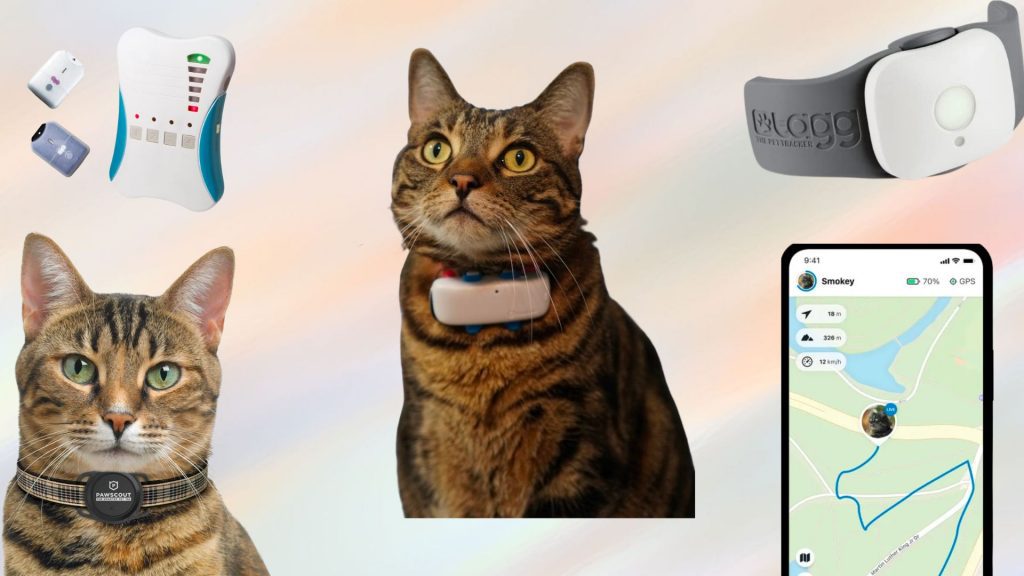 Top Cat GPS Trackers in 2024 (Designed for Cats) Technomeow