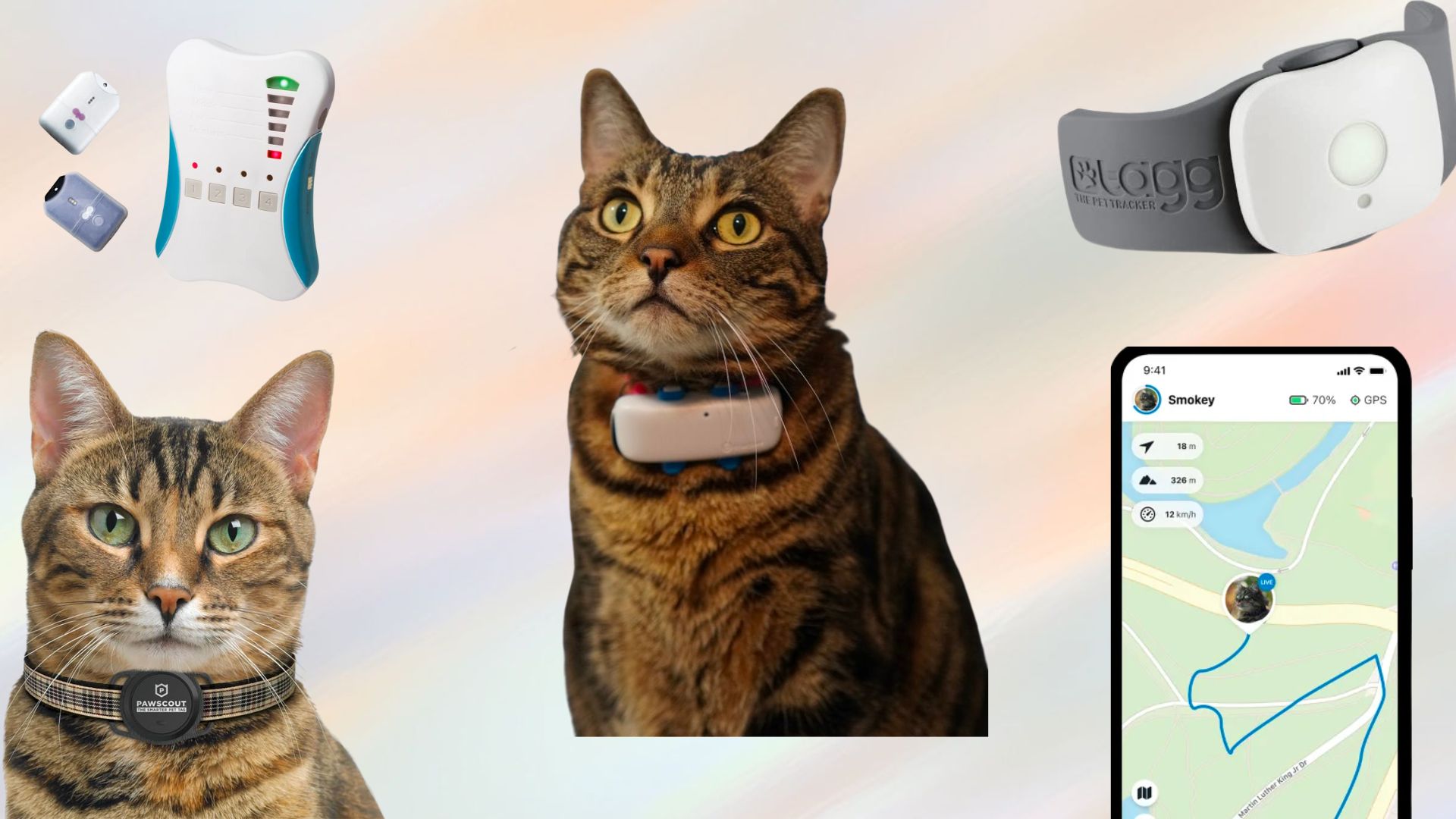Byen hobby Displacement Top Cat GPS Trackers in 2023 (Designed for Cats) | Technomeow