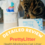 Pretty Litter Review: Next Level Cat Care!