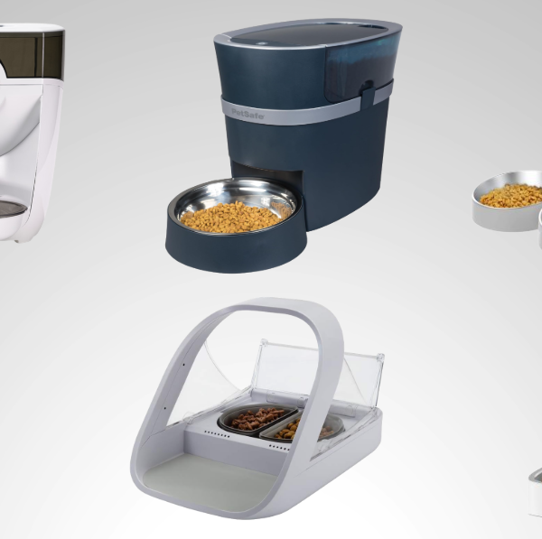 Best Automatic Feeders For Cats in 2026