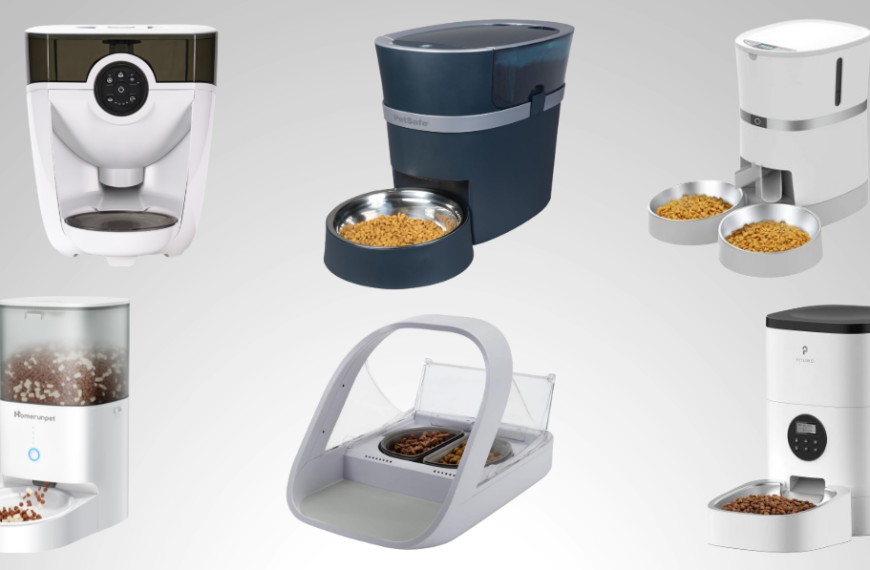 Best Automatic Feeders For Cats in 2026