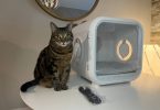 My cat near Drybo Plus Pet Dryer
