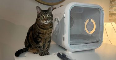 My cat near Drybo Plus Pet Dryer