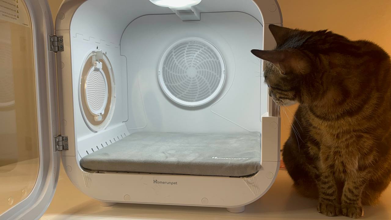Using Drybo Plus Pet Dryer as a pet bed