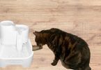 Cat Mate water fountain review featured image