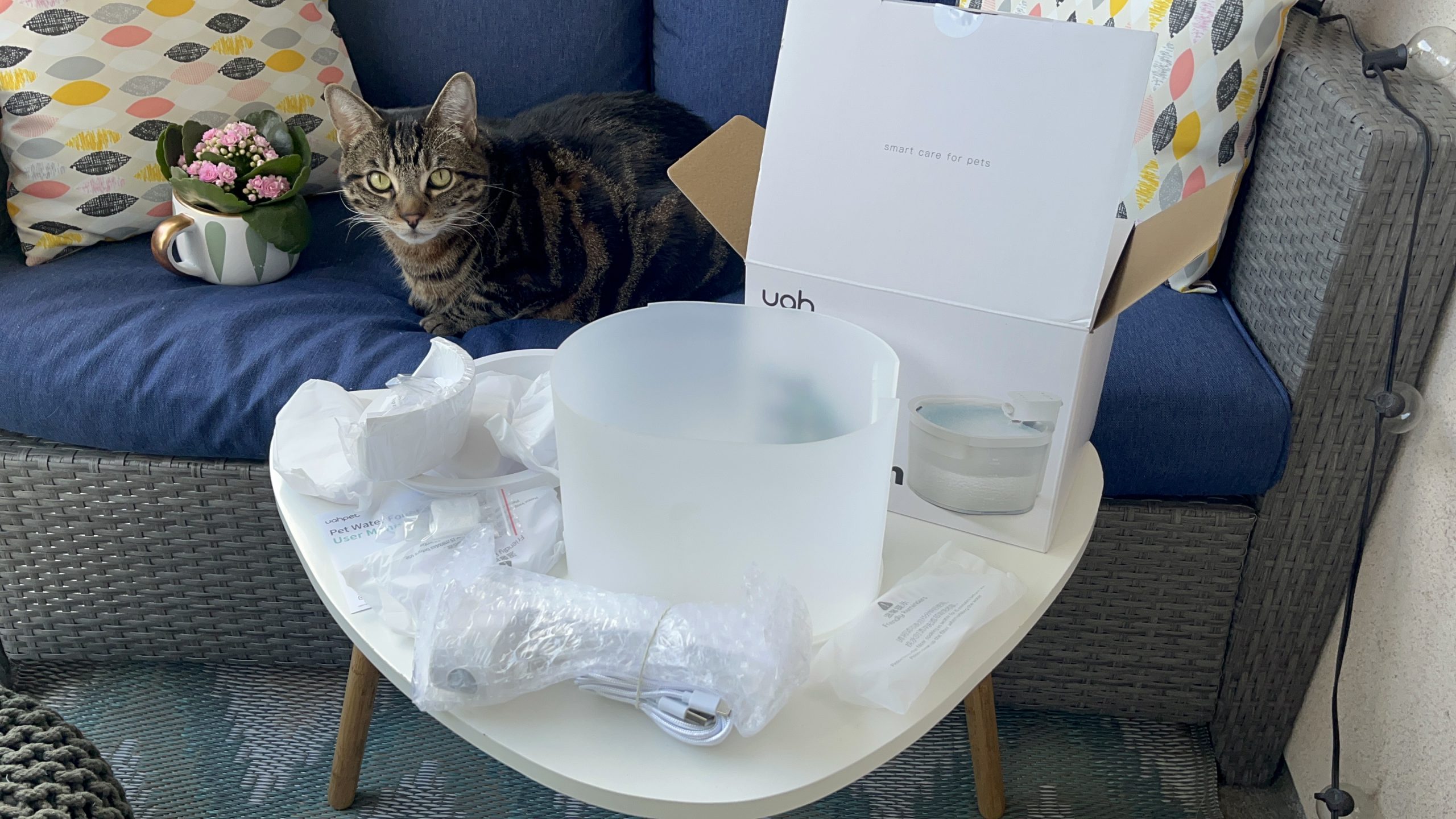 Unpacking Uahpet Automatic Cat Water Fountain