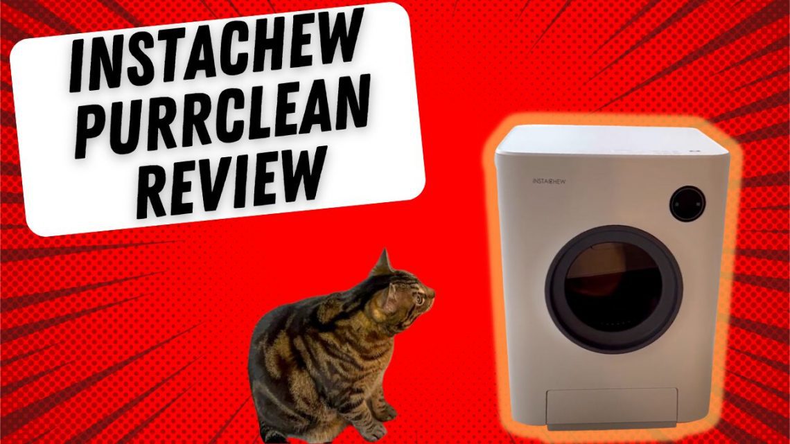 INSTACHEW Purrclean Review featured image