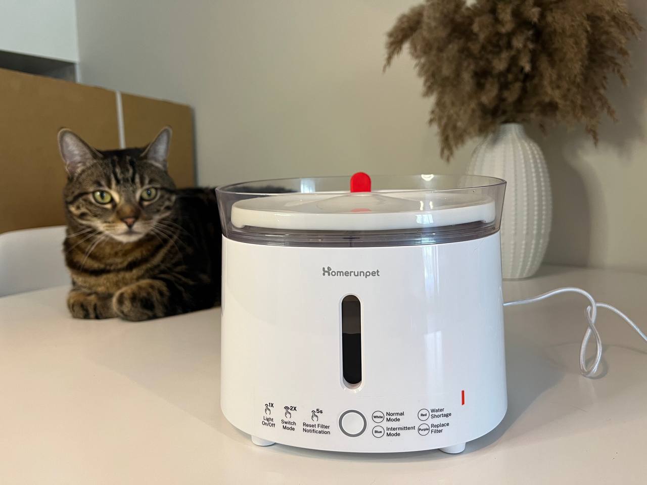 Homerunpet Cat Water Fountain Review TechnoMEOW