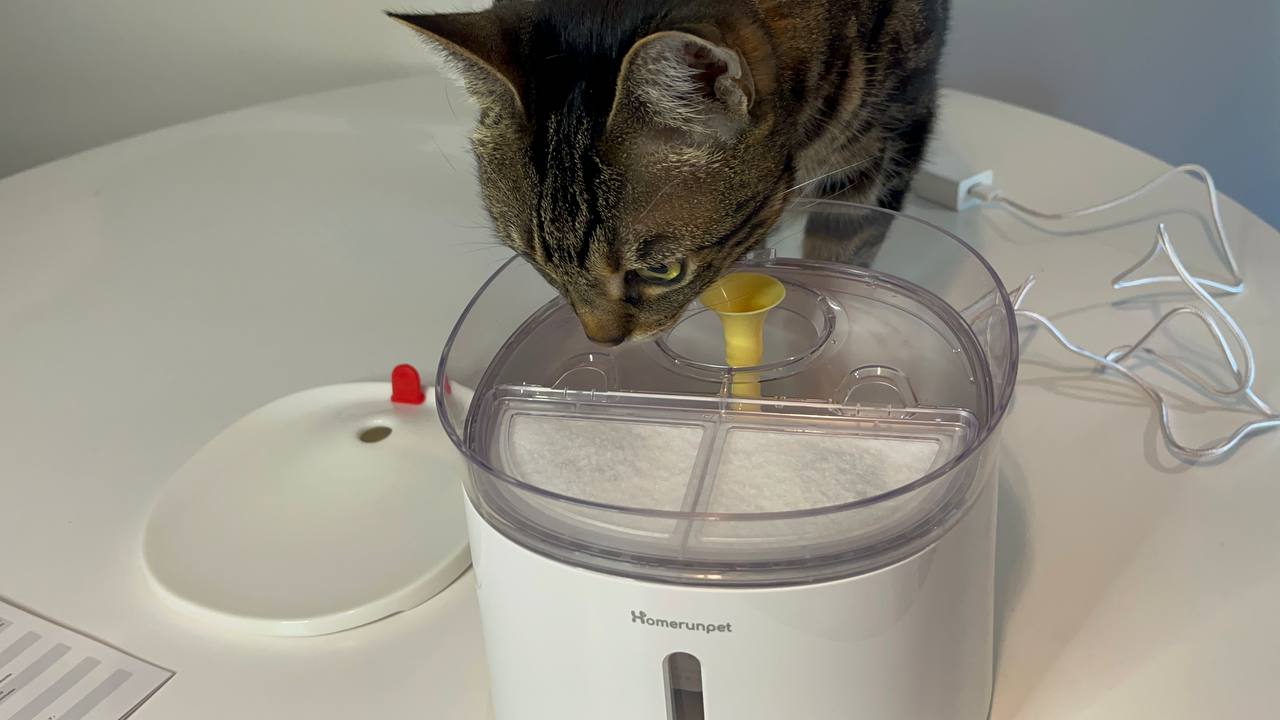 Ease of cleaning of Homerunpet Cat Water Fountain