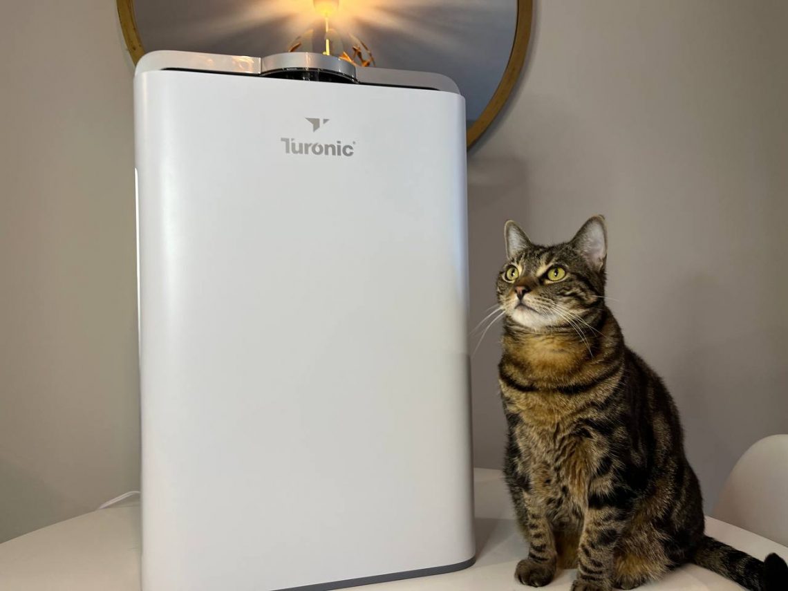 My cat is posing near Turonic PH950 Hepa Air Purifier