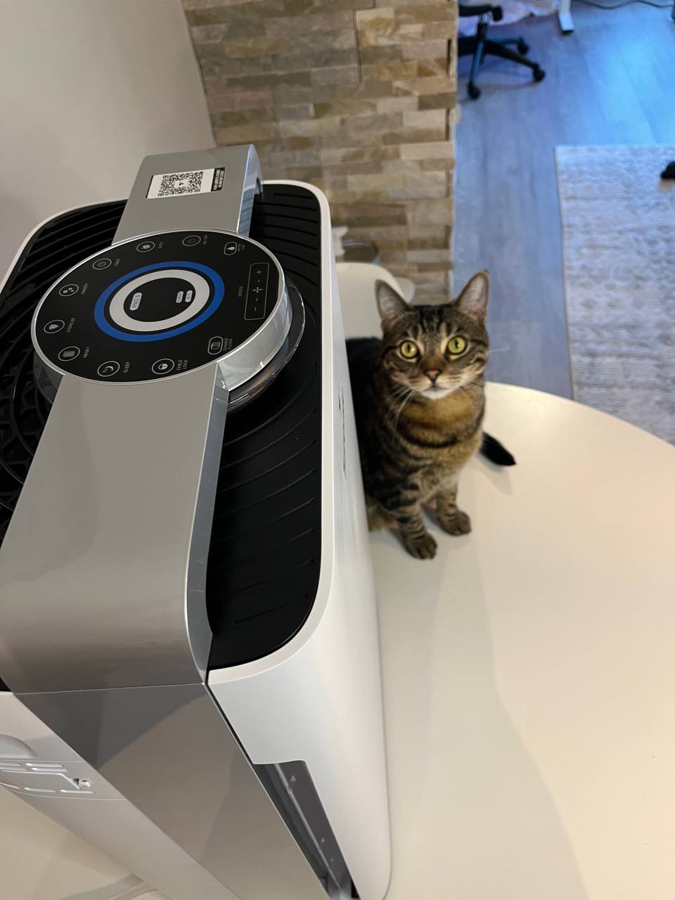 Using air purifier for cat odor pollutants 