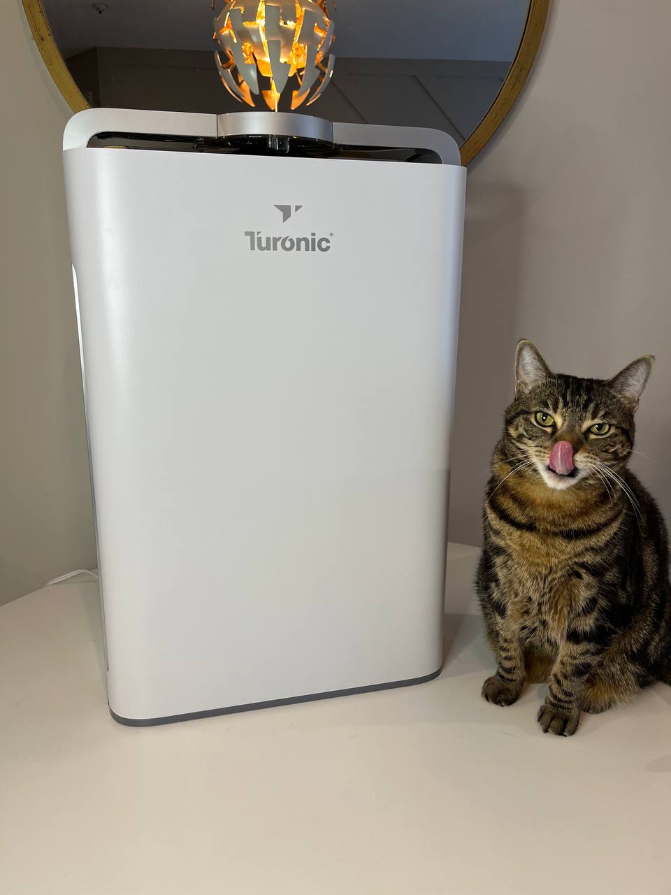 My cat is satisfied with Turonic PH950 Hepa Air Purifier
