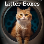 Best Self-Cleaning Litter Boxes for Cats - Say goodbye to scooping!