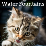 top cat water fountains