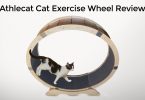 Athlecat Cat Exercise Wheel
