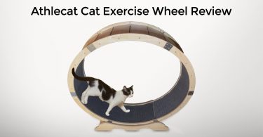 Athlecat Cat Exercise Wheel