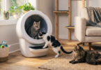 Three cats using and observing a Litter-Robot 4 automatic litter box in a living room, showing how the self-cleaning litter box works for multiple cats