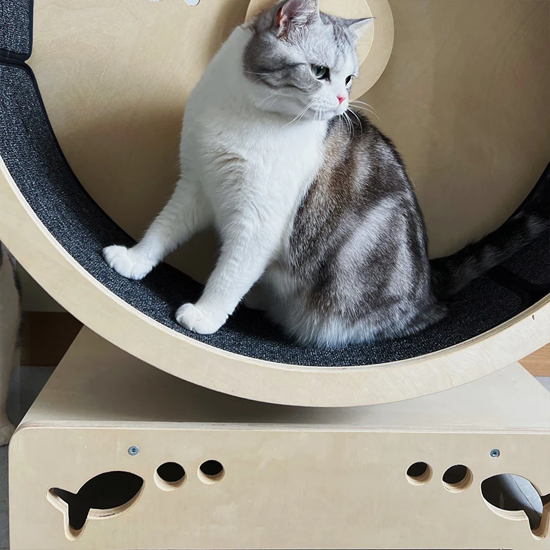 Paws & Fish Cat Exercise Wheel – Happy & Polly