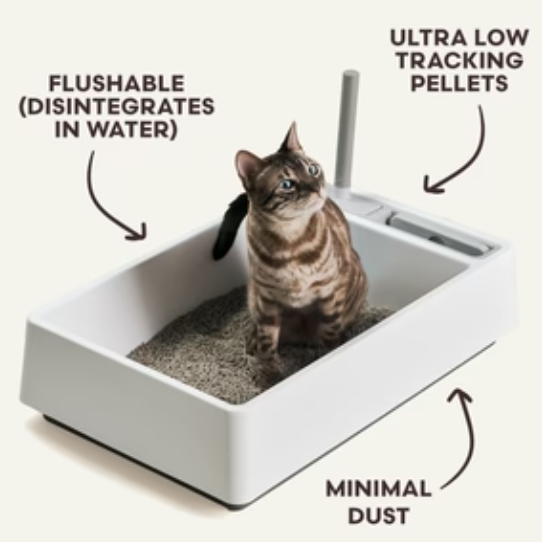 Tuft + Paw Really Great Cat Litter
