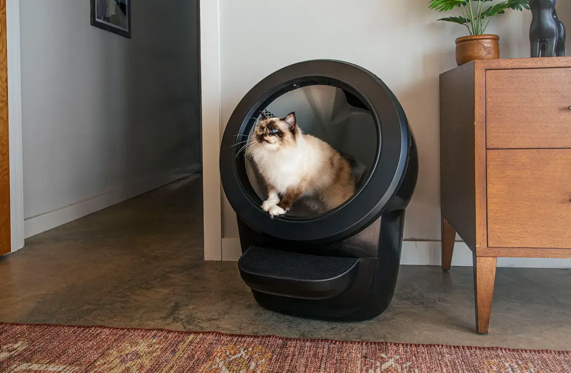 Litter Robot 4